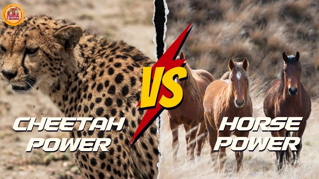 हॉर्सपावर क्या है